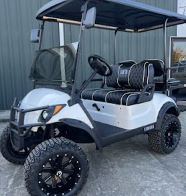 LEISURE PRODUCTS EVOLUTION GOLF CART DEALER Profile Picture